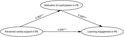 Effects of perceived variety-support on middle school students’ learning engagement in physical education: the mediating role of motivation